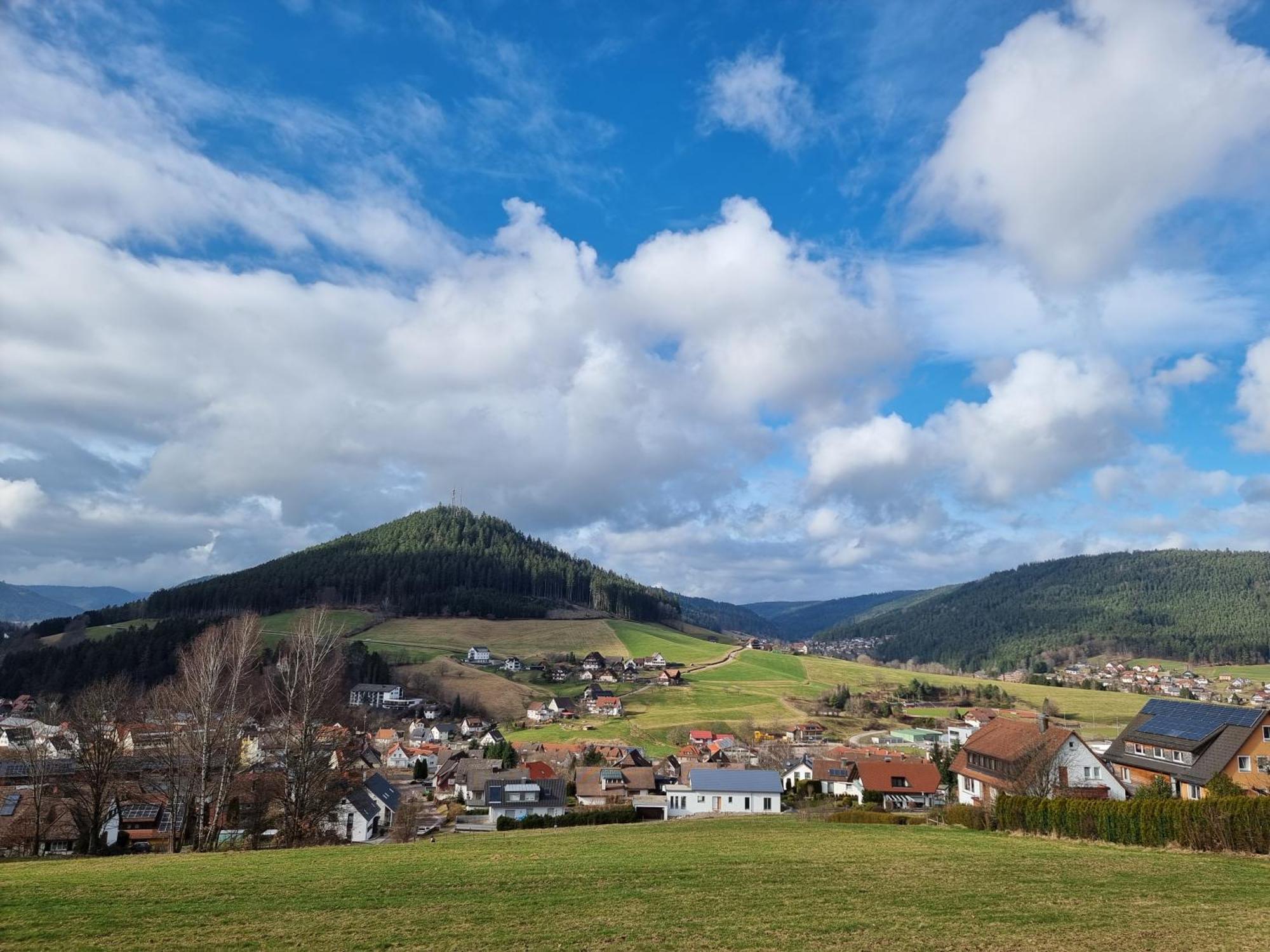 Fewo Mit Pool In Baiersbronn Exterior foto